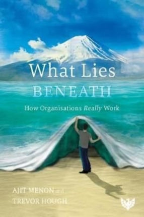 What Lies Beneath: How Organisations Really Work