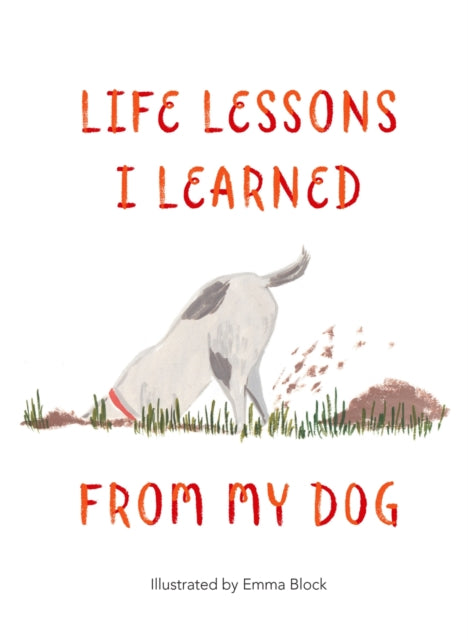 Life Lessons I Learned from my Dog