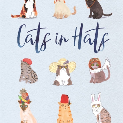 Cats in Hats