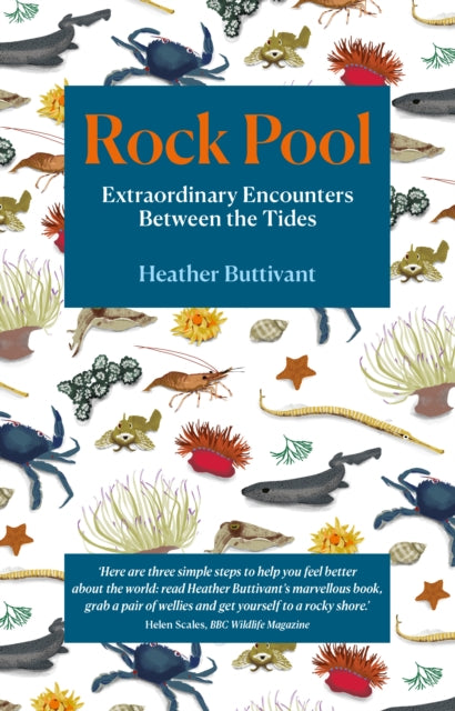 Rock Pool: Extraordinary Encounters Between the Tides