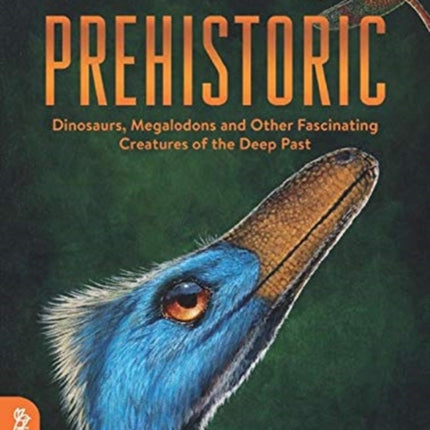 Prehistoric: Dinosaurs, Megalodons and Other Fascinating Creatures of the Deep Past