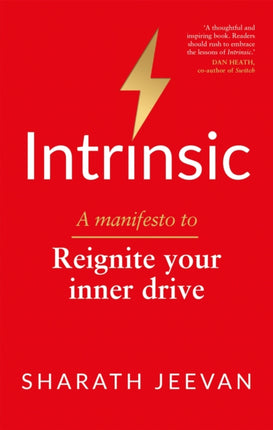 Intrinsic: A manifesto to reignite your inner drive