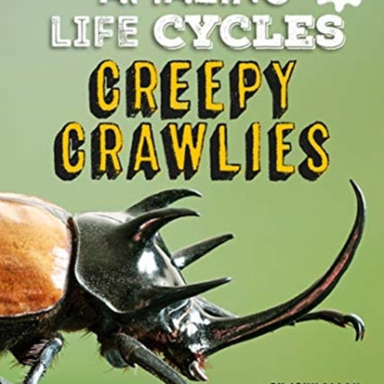 Creepy Crawlies - Amazing Life Cycles