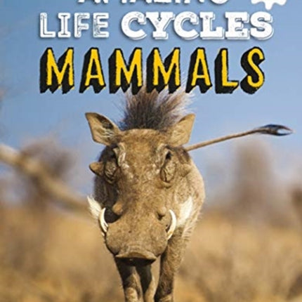 Mammals - Amazing Life Cycles