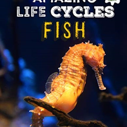 Fish - Amazing Life Cycles