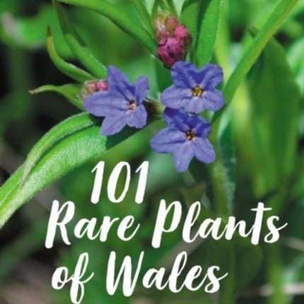 101 Rare Plants of Wales