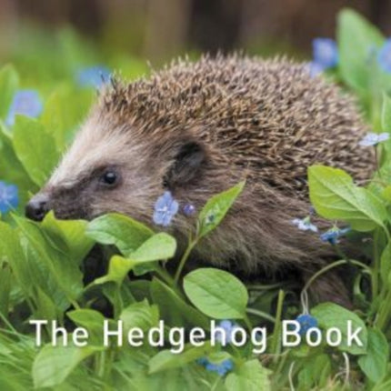 Nature Book Series, The: The Hedgehog Book