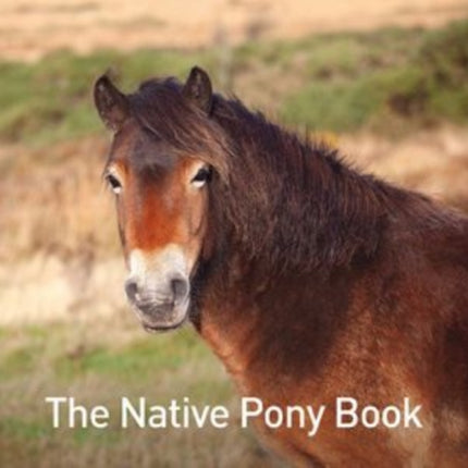 The Native Pony Book