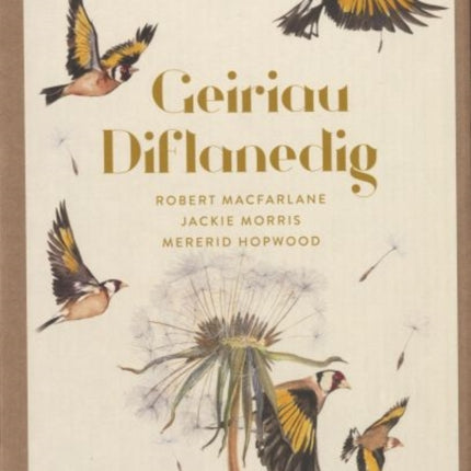 Geiriau Diflanedig (20 Cardiau Post)