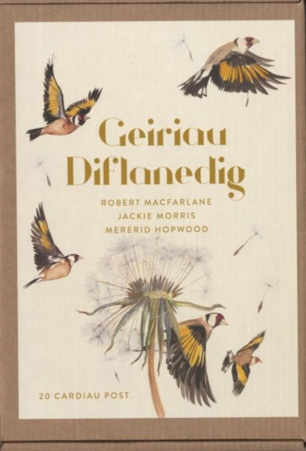 Geiriau Diflanedig (20 Cardiau Post)