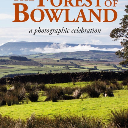 The Forest of Bowland