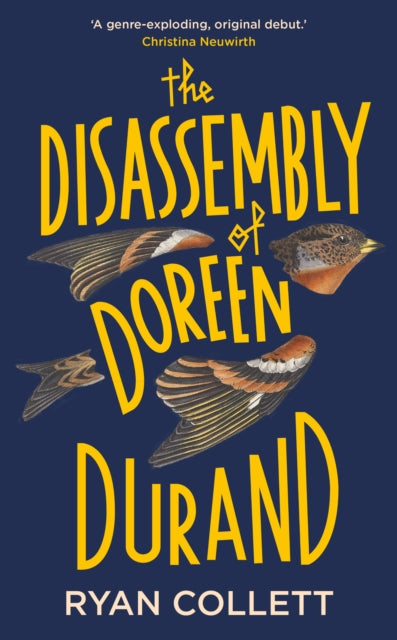 The Disassembly of Doreen Durand