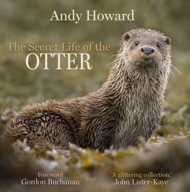 The Secret Life of the Otter