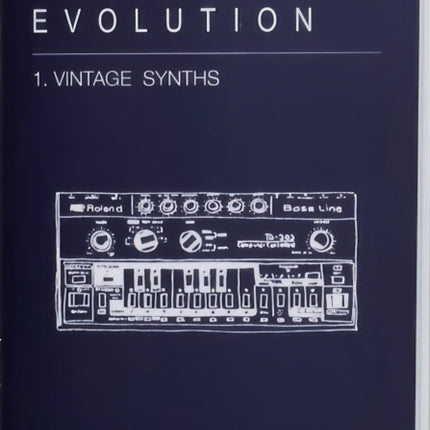 Synthesizer Evolution Vintage Synths