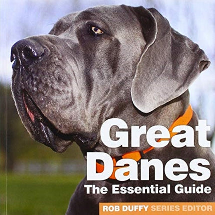 Great Danes Need2know Essential Guides