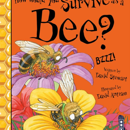 How Would You Survive As A Bee?