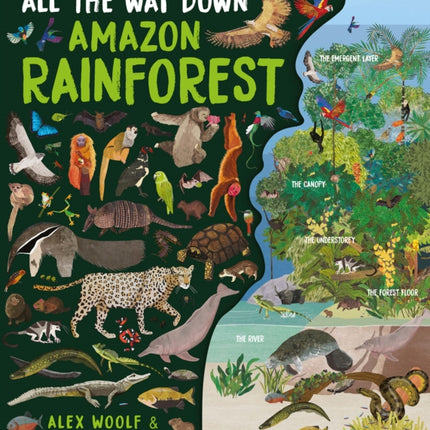 All The Way Down: Amazon Rainforest