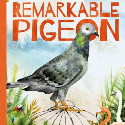 The Remarkable Pigeon