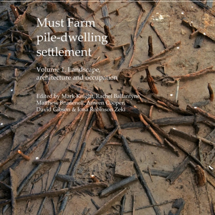 Must Farm piledwelling settlement