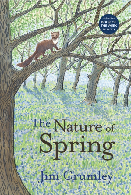 The Nature of Spring