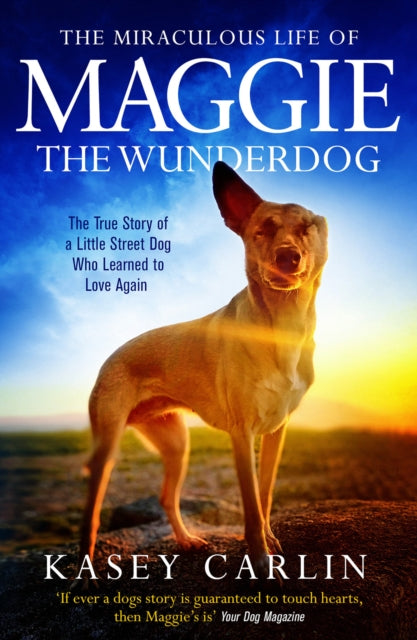 The Miraculous Life of Maggie the Wunderdog: The true story of a little street dog who learned to love again