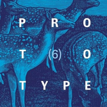 PROTOTYPE 6