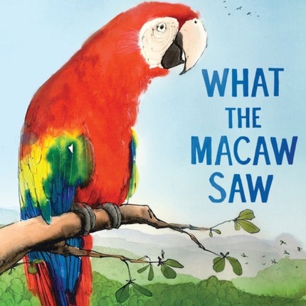 What the Macaw Saw