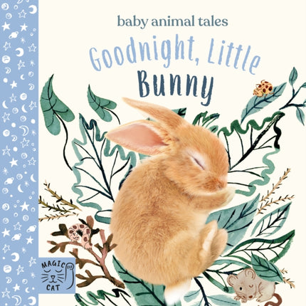 Goodnight, Little Bunny: A book about being brave