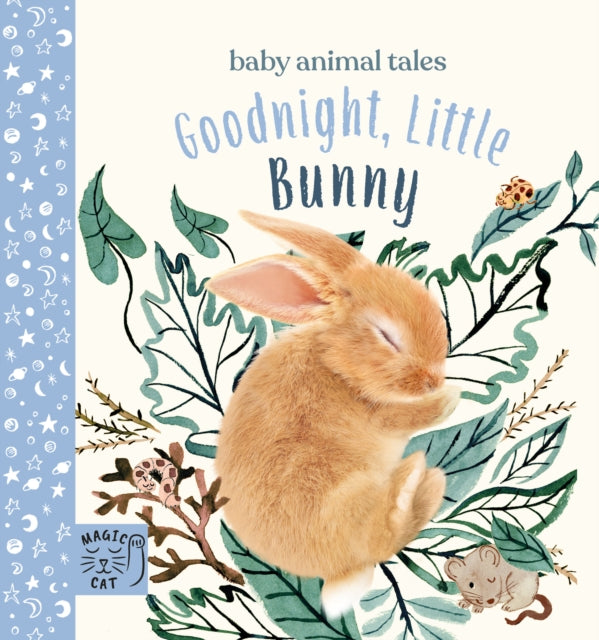 Goodnight, Little Bunny: A book about being brave