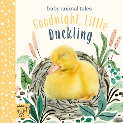 Goodnight, Little Duckling: A book about listening