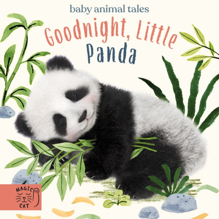 Goodnight, Little Panda: A book about fussy eating