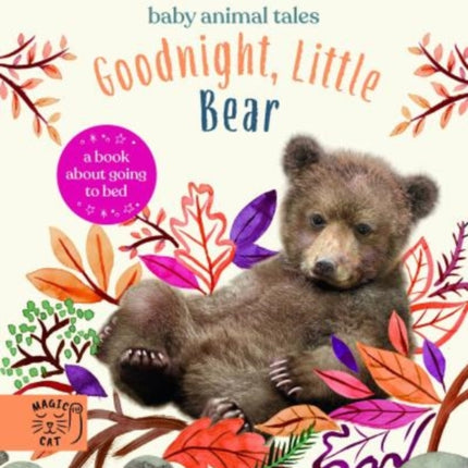 Goodnight, Little Bear: A Book About Going to Bed