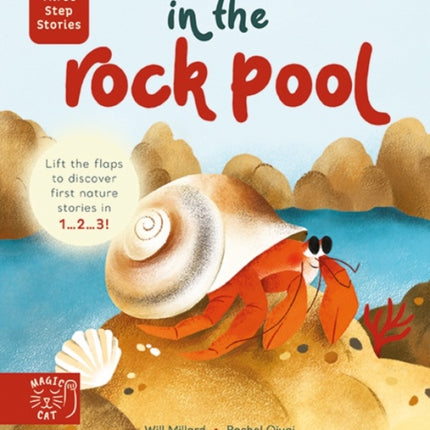 Three Step Stories: In the Rock Pool: Lift the Flaps to Discover First Nature Stories in 1… 2… 3!