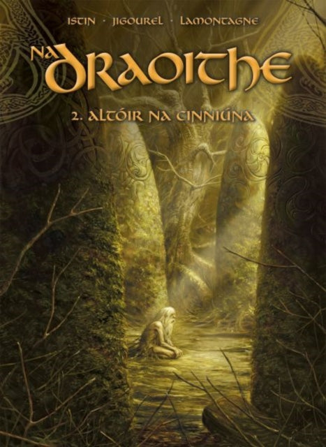 Na Draoithe 2 Altoir na Cinniuna