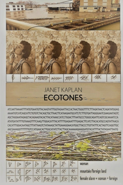 Ecotones