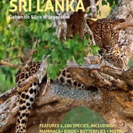 A Photographic Guide to the Wildlife of Sri Lanka
