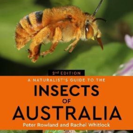 A Naturalist's Guide to the Insects of Australia