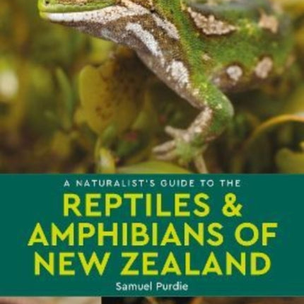 A Naturalist's Guide to the Reptiles & Amphibians Of New Zealand