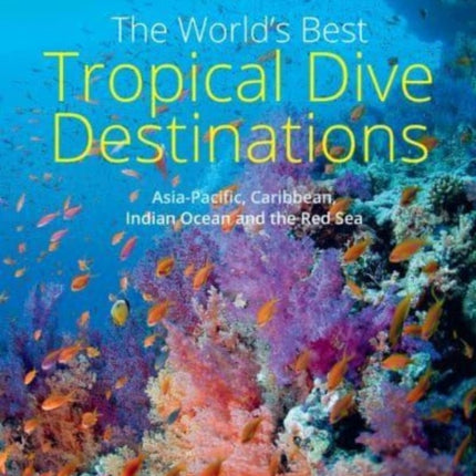 The World's Best Tropical Dive Destinations (3rd)