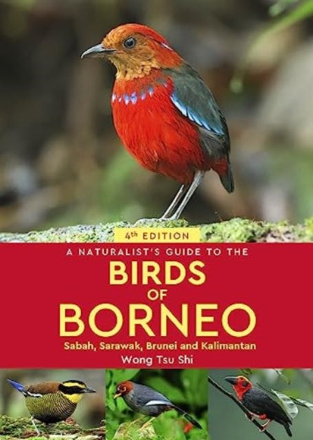 A Naturalist's Guide to the Birds of Borneo: Sabah, Sarawak, Brunei and Kalimantan