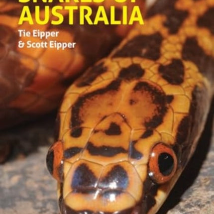 A Field Guide to the Snakes of Australia