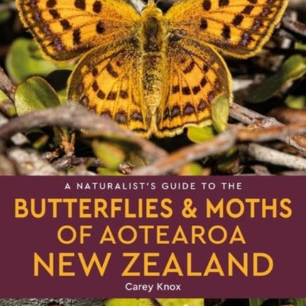 A Naturalists Guide to the Butterflies  Moths of