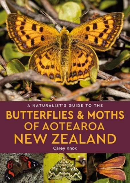 A Naturalists Guide to the Butterflies  Moths of