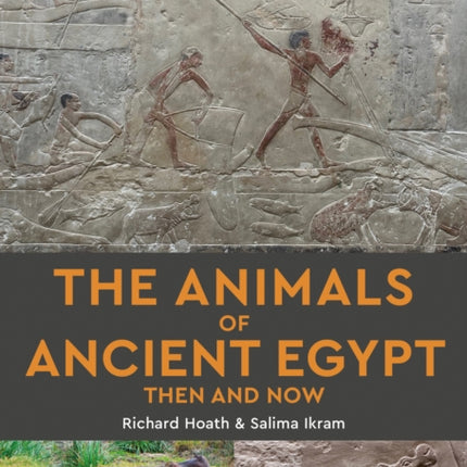 The Animals of Ancient Egypt Then and Now
