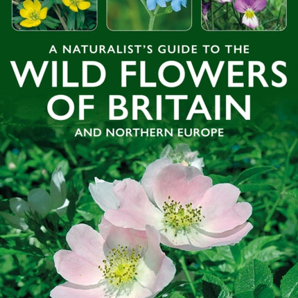 A Naturalists Guide to the Wild Flowers of
