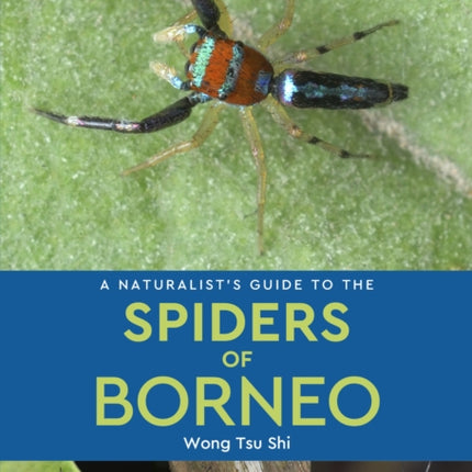 A Naturalists Guide to the Spiders of Borneo