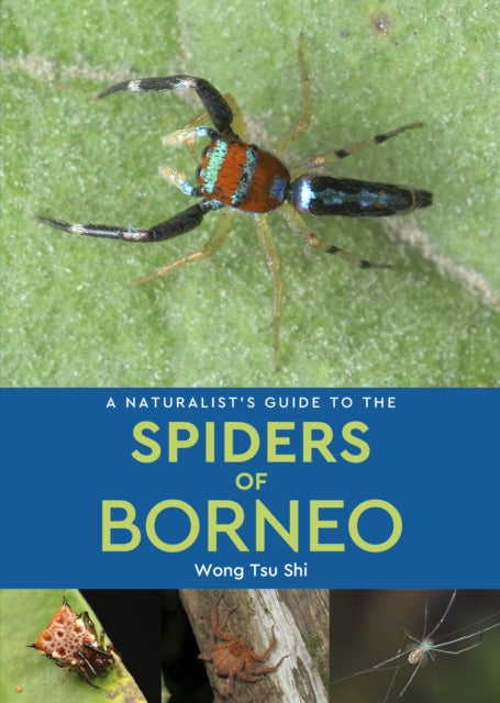A Naturalists Guide to the Spiders of Borneo