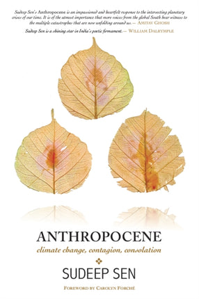 Anthropocene: Climate Change, Contagion, Consolation