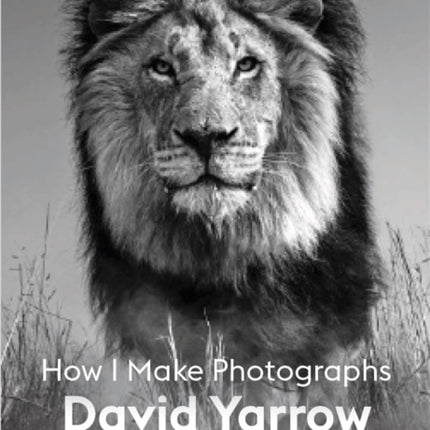 David Yarrow: How I Make Photographs