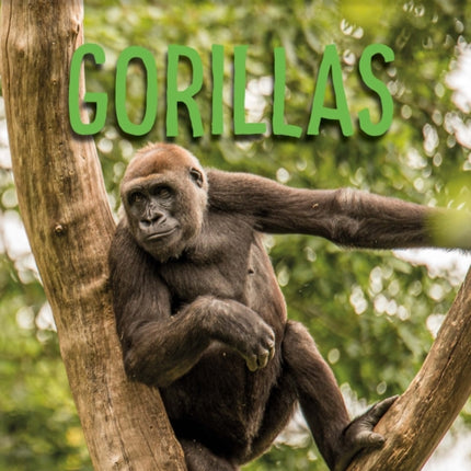 Gorillas